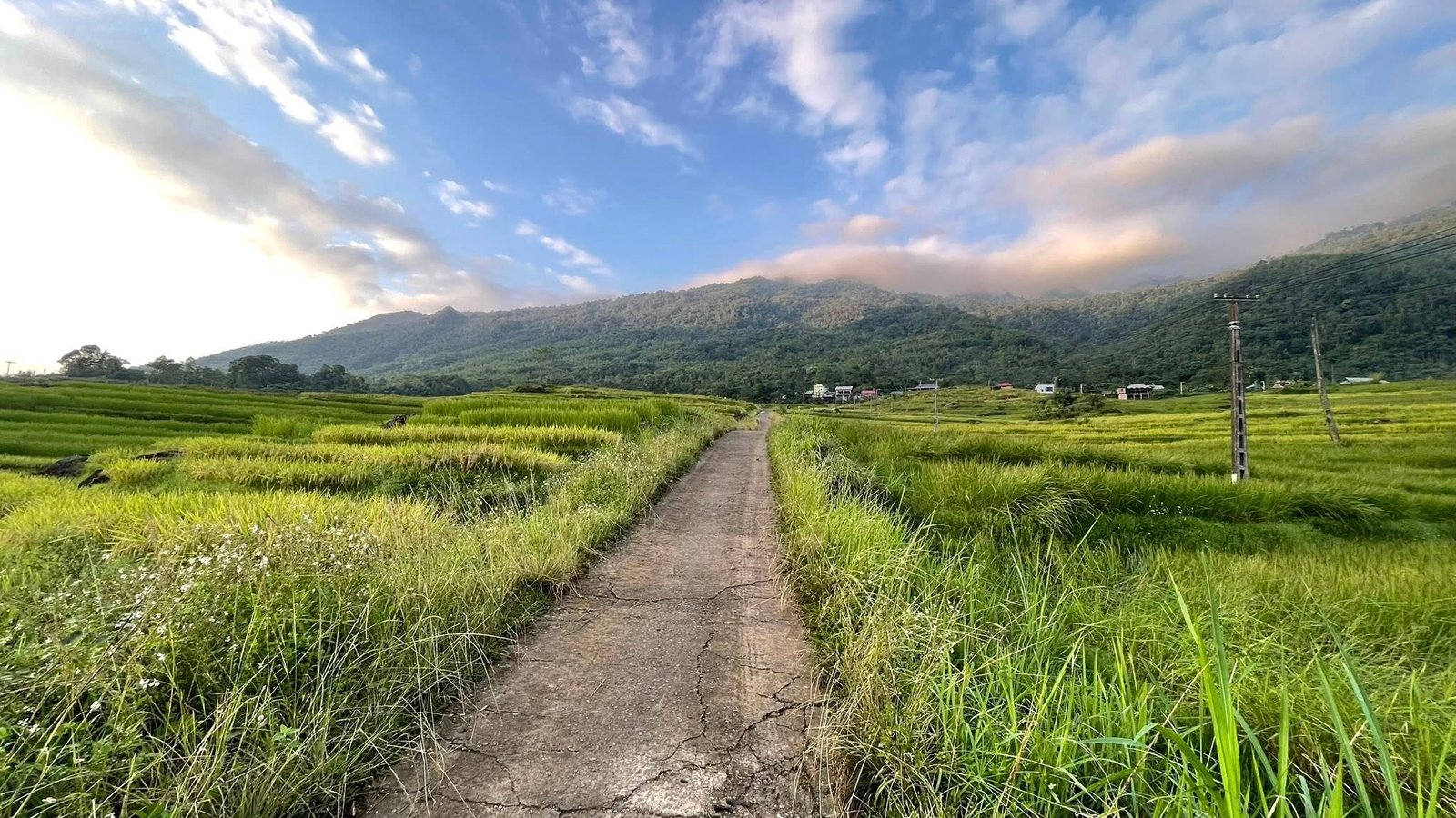Vietnam Biking Tour Red River Delta 4 Days